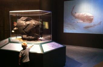 The State Museum of Pennsylvania