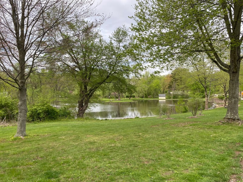 Willows Park Preserve