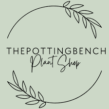 The Potting Bench