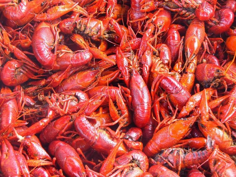HotHeads Crawfish