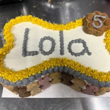 Dog Bites Munchery & More, LLC