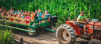 Corn Cob Acres
