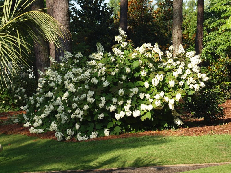 Aldridge Gardens