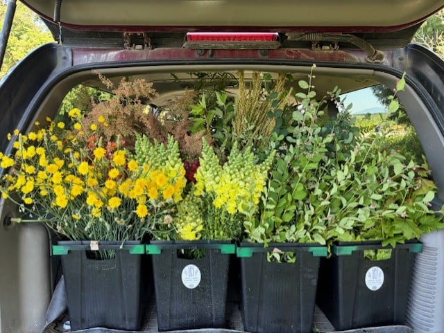 Mossy Gate Flower Farm
