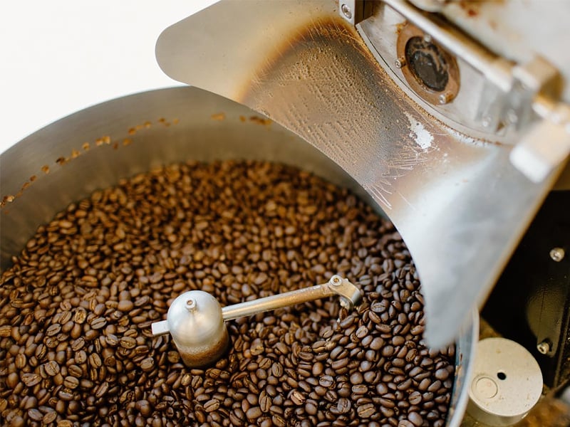 The Duck Coffee Company