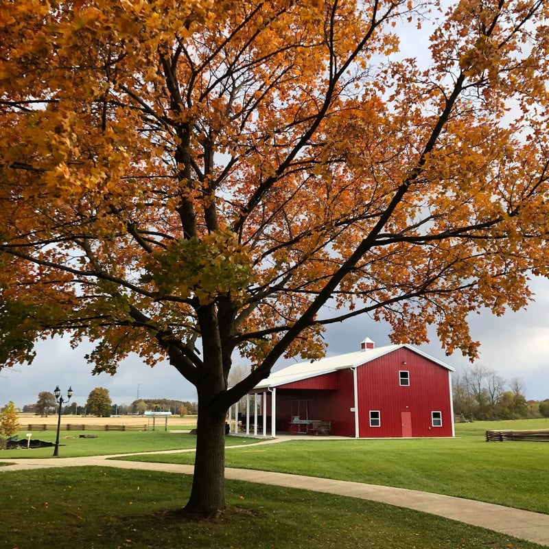 Historic Lyme Village