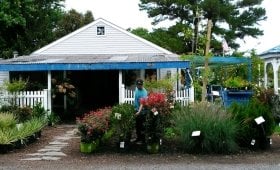 Bluebird Farms