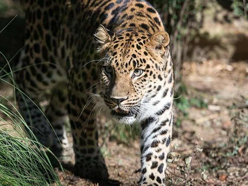 Pittsburgh Zoo & Aquarium