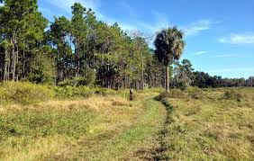 Colt Creek State Park