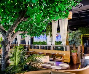 Tulum Modern Mexican