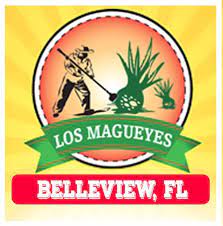 Los Magueyes Mex Belleview