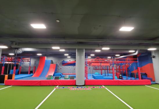 Conquer Ninja Gyms Fargo