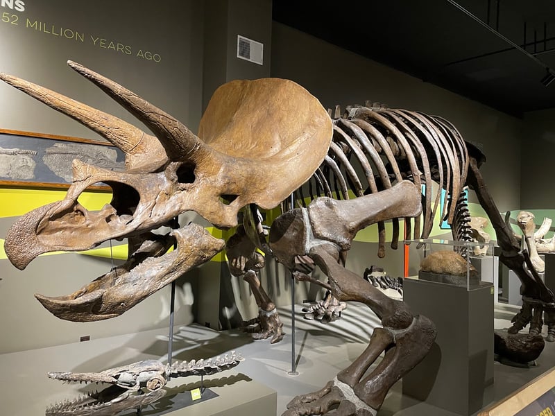 Buffalo Museum of Science