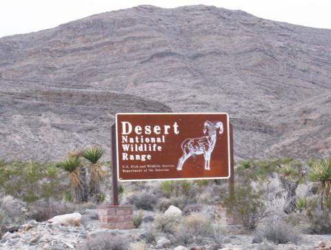 Desert National Wildlife Refuge