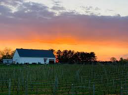 1723 Vineyards
