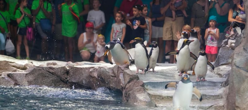 Detroit Zoo