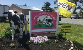 Chesapeake Bay Farms ice cream