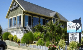 The Shark on the Harbor Restaurant