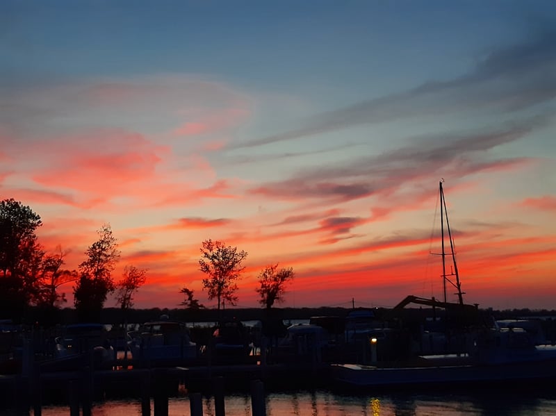 Shrock's Marina Inc