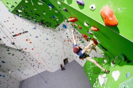 Onsight Rock Gym