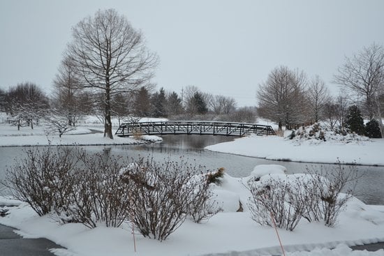 James H McBride Arboretum