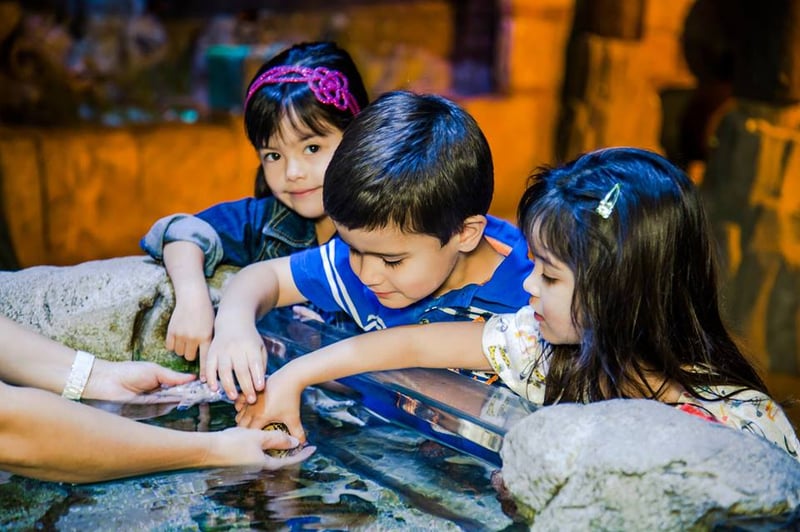 SEA LIFE Arizona Aquarium