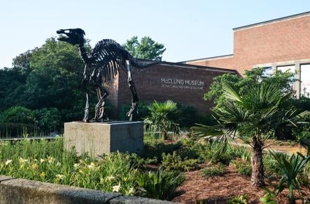 McClung Museum of Natural History & Culture