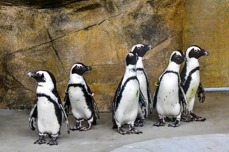 Dakota Zoo