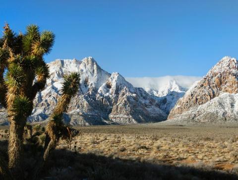 Red Rock Canyon National Conservation Area