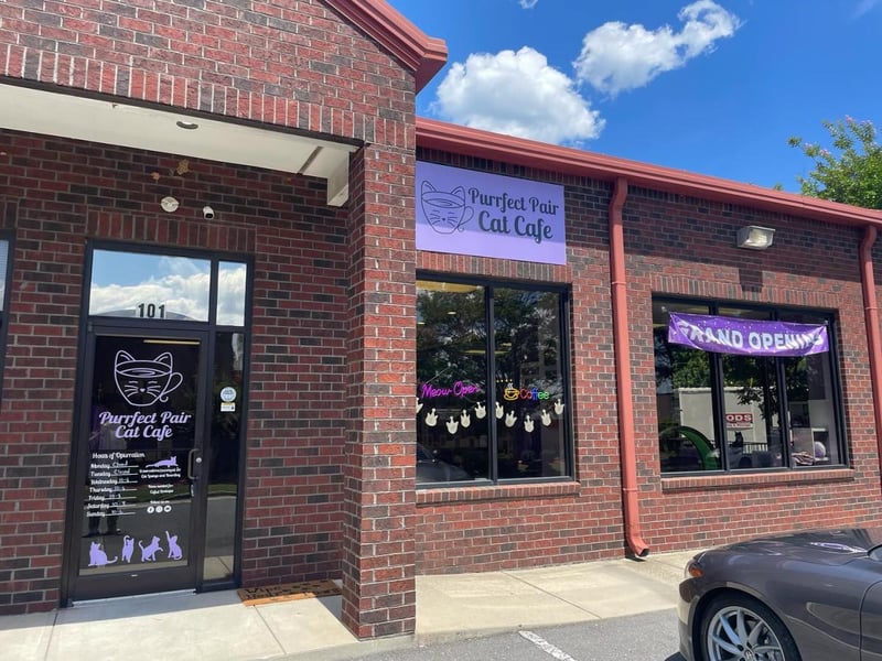 Purrfect Pair Cat Cafe