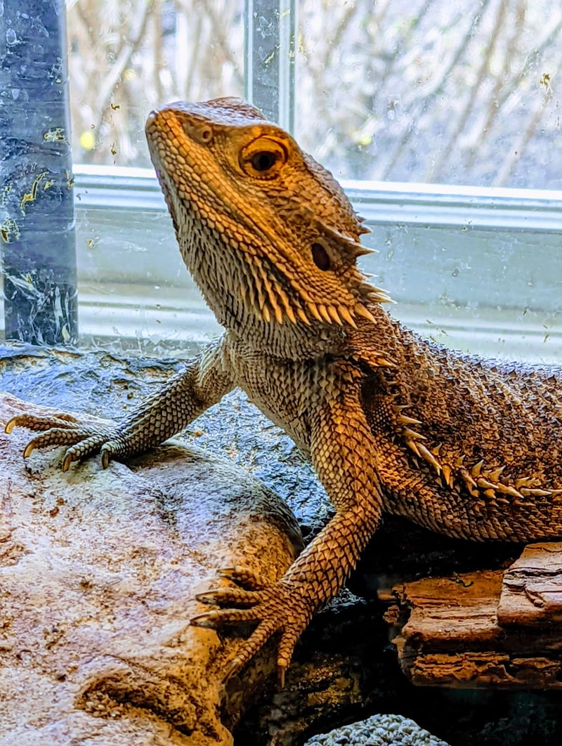 Wildlife Discovery Center