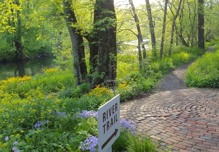 Wildflower & Native Plant Gardens
