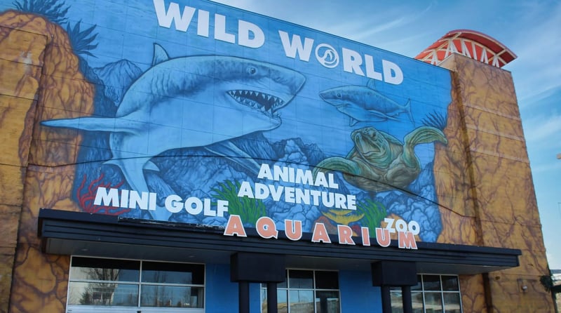 Branson's Wild World