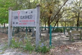 Unleashed Dog Park City of Orange Beach