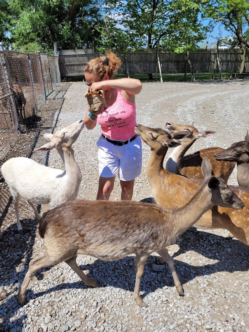 Lagoon Deer Park