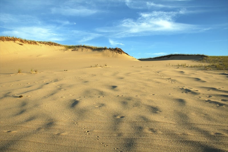 Art's Dune Tours