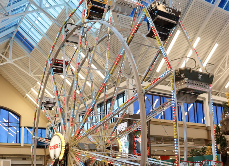 Scheels