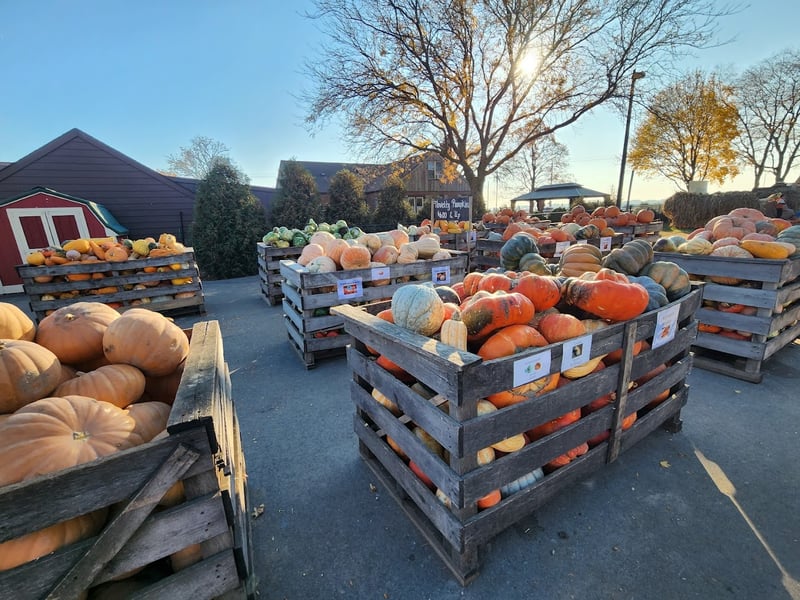 Jerry Smith Pumpkin Farm