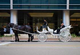 Classic Carriages LLC