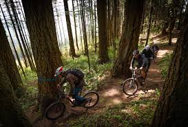 Dig Deep Tours