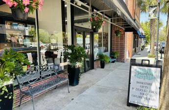 Sassafras on Carteret