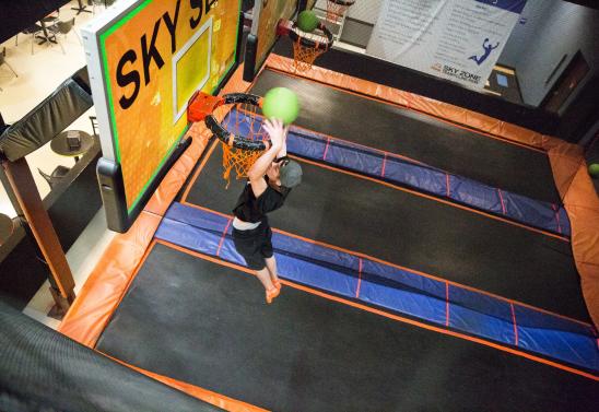 Sky Zone Trampoline Park